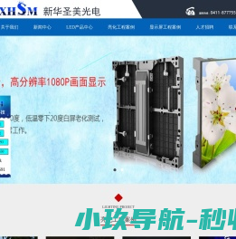 大连新华圣美光电科技有限公司