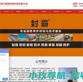 硅酮灌缝胶