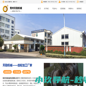 伞齿轮定制加工厂家