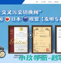 工业注射泵