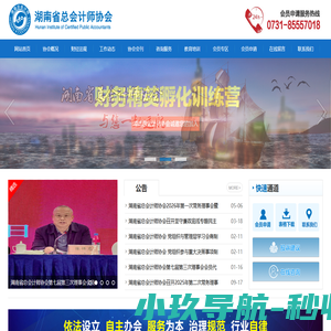 湖南省总会计师协会