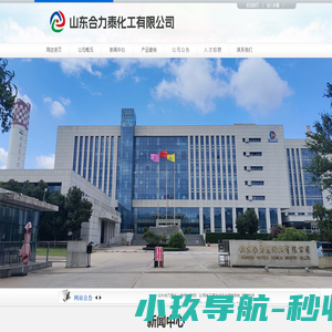 山东合力泰化工有限公司