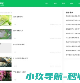 最新资讯