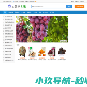 网站截图