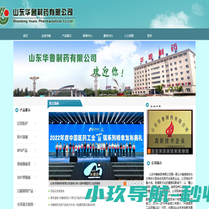 山东华鲁制药有限公司