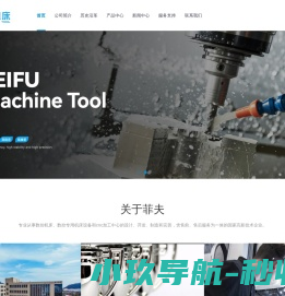 浙江菲夫自控设备有限公司