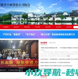 安徽省小额贷款协会