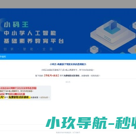 小码王