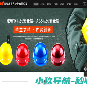 天长市东方护业有限公司