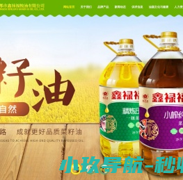 郑州网站优化