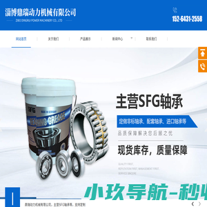SFG轴承,SFG进口轴承-淄博鼎瑞动力机械有限公司