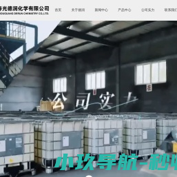 寿光德润化学有限公司