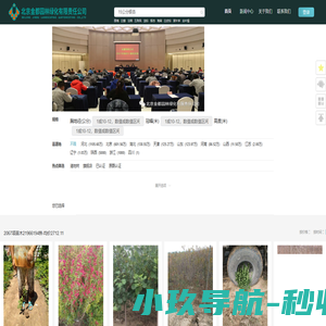 金都树网-找放心树! | 一站式园林绿化行业服务商!