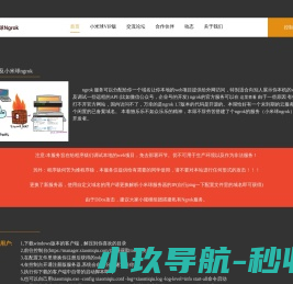 Ngrok国内免费服务器