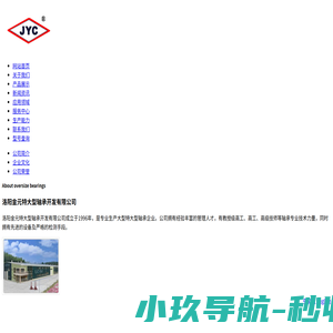 洛阳金元特大型轴承开发有限公司