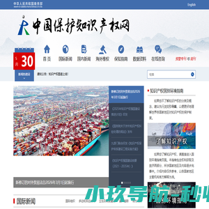 中国保护知识产权网
