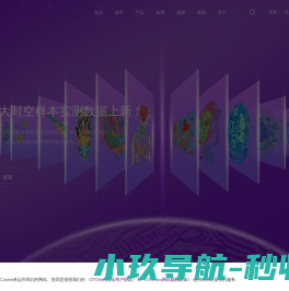 华大时空组学STOmics