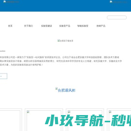 实验室工作台天平台,合肥原子吸收罩万向罩,通风柜维修服务