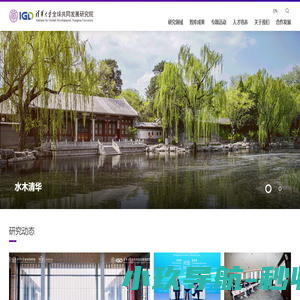 清华大学全球共同发展研究院