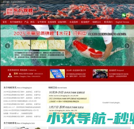 东方锦鲤