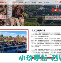 网站截图