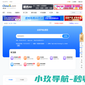IP/IPv6查询