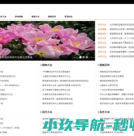 上海讯买数字科技有限公司