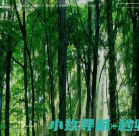 办理环评多少钱