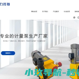计量泵