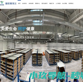 网站截图
