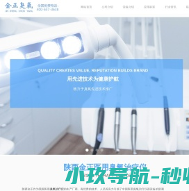 医用臭氧治疗仪