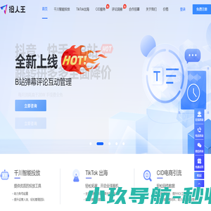 投人王 - CID投放、巨量千川一站式智能批量投放工具