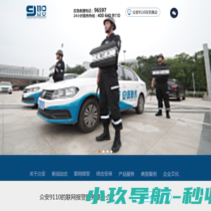 山东众安9110