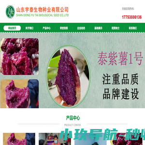 山东宇泰生物种业有限公司_泰紫薯1号
