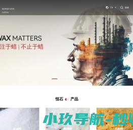 广州恒石进出口贸易有限公司