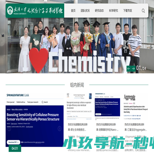 武汉大学化学与分子科学院吕昂课题组