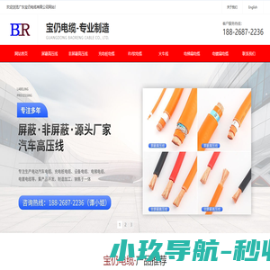 电动汽车高压线 | 充电桩电缆厂家 - 广东宝仍电缆有限公司