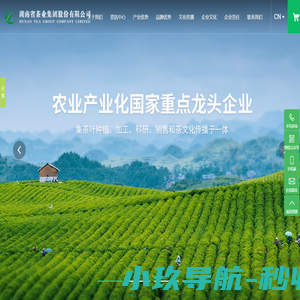 湖南省茶业集团股份有限公司_安化黑茶_千两茶_茶叶种植生_茶叶加工生产