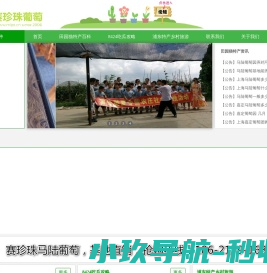 南汇8424西瓜网