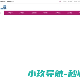 反应与分离专家