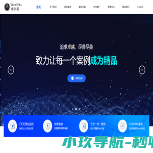 维尔斯科技