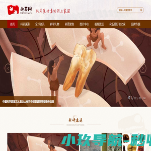 化石网
