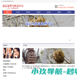 南京灭马蜂窝,南京捅马蜂窝,南京捅马蜂窝公司,捅马蜂窝119联防