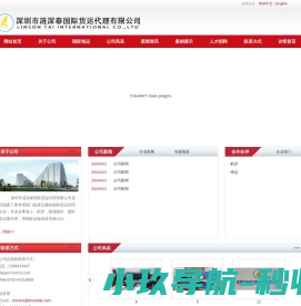 深圳市涟深泰国际货运代理有限公司
