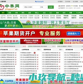 中果网