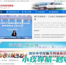 广西柳州市财政局网站
