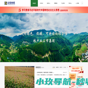 云南云景林纸股份有限公司-云南云景林纸股份有限公司