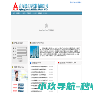 青海埃立福软件有限公司