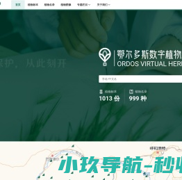 大健康营销网