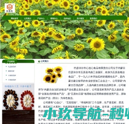 心连心瓜子